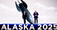 Donald Trump Admits Vladimir Putin Ceasefire Meeting Was a Diplomatic Dud