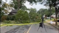 Large branch falls from tree in Teaneck, NJ injuring 3 pedestrians, hitting car with father and daughter inside