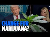 Trump 'Looking At' Marijuana Reclassification As Less Dangerous Drug