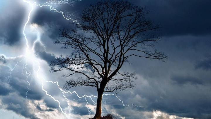 El impacto directo de los rayos mata 320 millones de árboles al año, sin contar los incendios originados