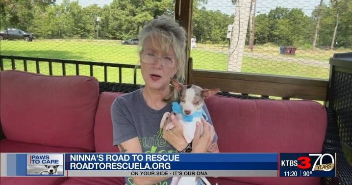 Paws to Care: Ninna's Road to Rescue