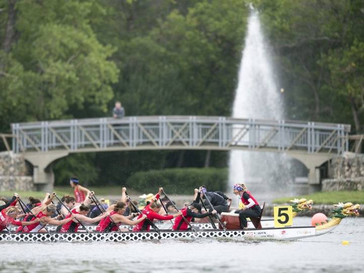Dragon Boat Festival tops five things to do this weekend in Regina