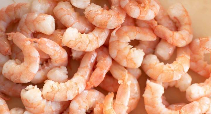 FDA advierte sobre camarones contaminados con isótopo radiactivo en supermercados