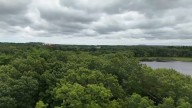 New England fall foliage season is soon but trees are stressed