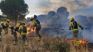 Controlado un incendio forestal en el límite entre Aldea del Fresno y Méntrida