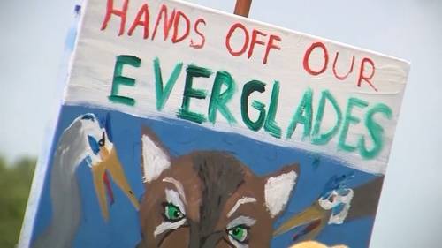 Judge orders temporary halt to construction at Florida's 'Alligator Alcatraz' detention center in Everglades