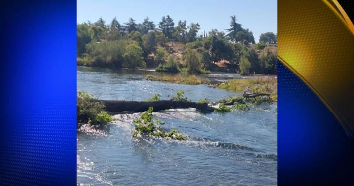 California Department of Water Resources issues warning for fallen tree obstructing Feather River near Cottonwood Riffle