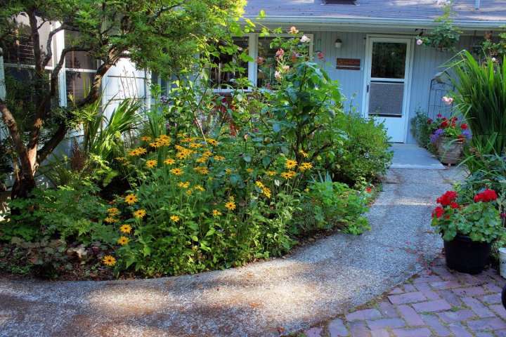 For Gardeners: Create your own cottage garden