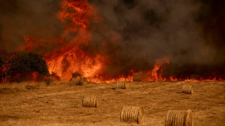 La superficie calcinada se estanca en Galicia