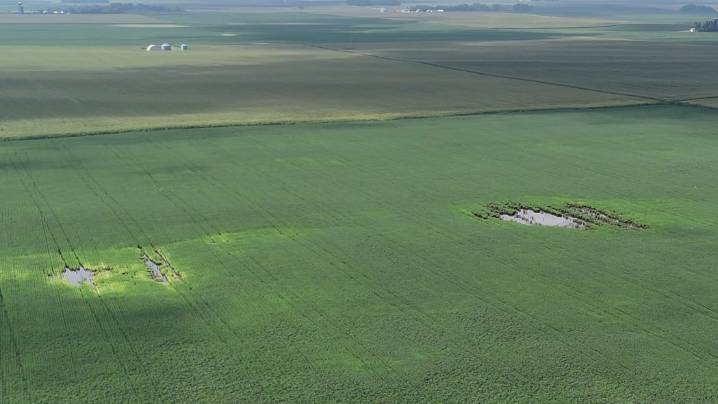 Iowa expects record corn harvest in 2025 despite heavy rainfall