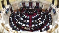 Senado: la oposición consiguió dictamen para el financiamiento universitario y la emergencia del Garrahan