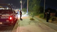 Rescatan a caballo tirado y con signos de violencia en Torreón