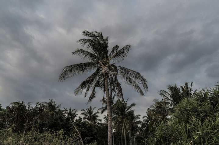 Tormenta tropical Juliette en México: Estos serán los estados afectados
