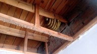 Solicitan reportar enjambres de abejas; exhortan a no destruirlos