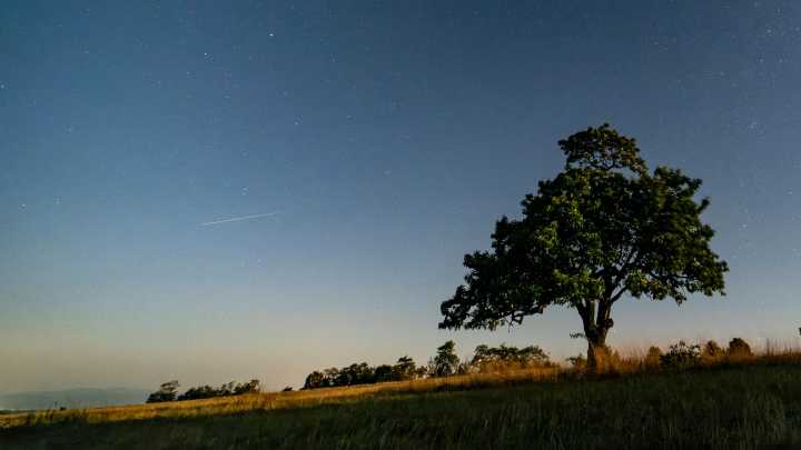 La lluvia de perseidas alcanza su máximo esplendor: las mejores imágenes