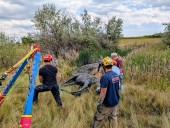 Crews rescue 26-year-old mare from mud pit in rural Boulder County