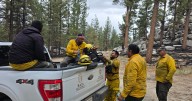 Declaran liquidados los incendios del “Complejo San Pedro Mártir” y “Rosa De Castilla” en Sierra de Juárez