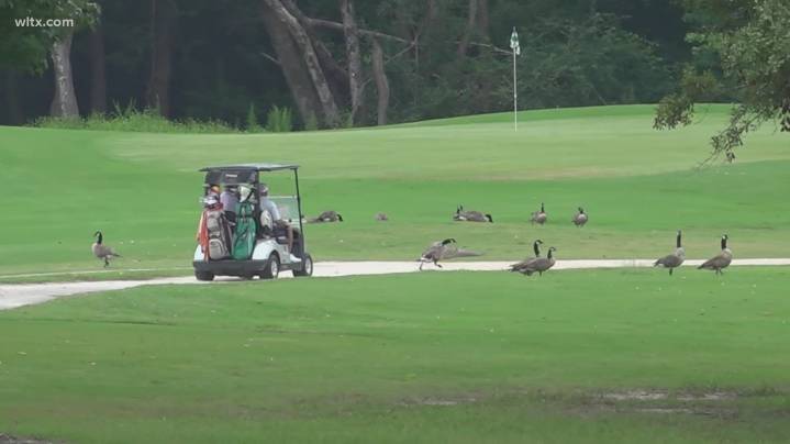 Sumter golf tournament supports fatherhood, veterans, Alzheimer’s groups