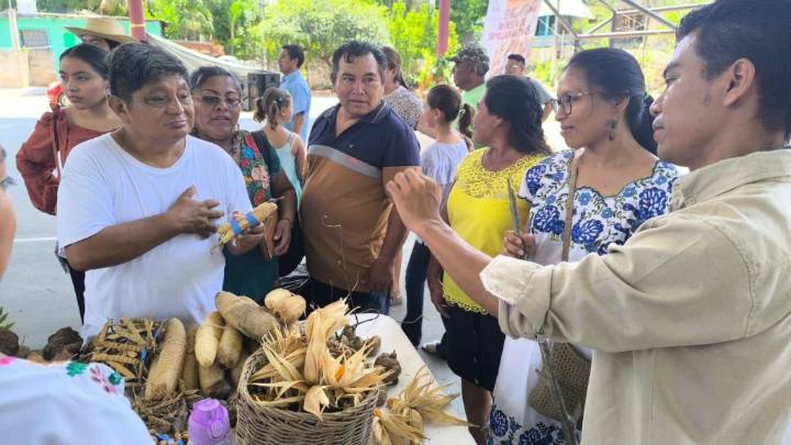 Concluye la Canícula con afectaciones a milpas por clima inestable en Quintana Roo