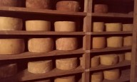 Del brote de listeriosis al productor. Cómo la investigación condujo al queso con igual huella genética que los pacientes