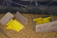 Golpe al narcotráfico: cayó en Santiago un camión con más de 44 kilos de cocaína ocultos entre granos de maíz