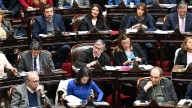 Diputados rechazó el veto de Milei a la ley de emergencia en discapacidad