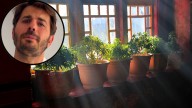 Álvaro Pedrera, experto en plantas: “No es lo mismo ponerla en la ventana o en una esquina”