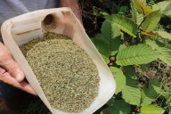 DeWine urges psychoactive drug to be made illegal