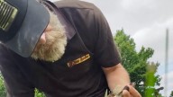Watch: TikTok of goose trapped in netting at Living History Farms