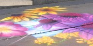Lincoln woman finds inspiration in local flowers for Omaha Chalk Art Festival