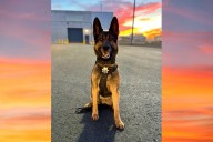 New K9 Team Patrolling Chelan County Jail
