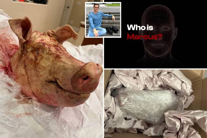 Vegas Agrippa AI CEO Blake Owens mailed bloody pig head and threatening note