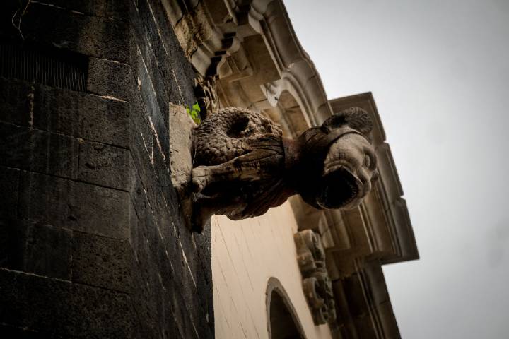 Las nuevas rutas SlowTours de La Orotava revelan los rincones ocultos que pocos conocen
