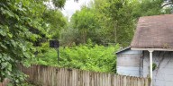 On Your Side: What to do about your neighbor’s overgrown yard