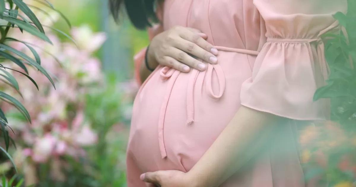 China anuncia avances en úteros artificiales: ¿qué tan cerca está la ciencia?