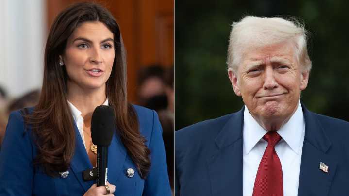 Kaitlan Collins' Before & After Pics Of Trump's Rose Garden Are His Worst White House Renovation Yet