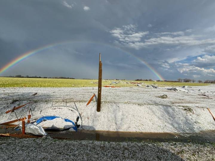 Power transmission towers snapped as storm rips through Brooks region
