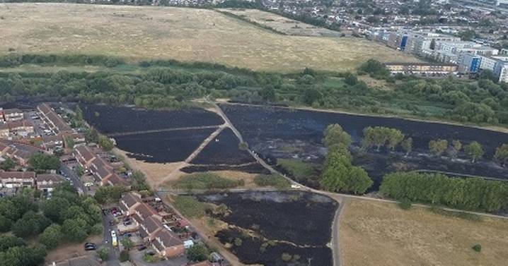 Firefighters slam 'deliberate' field fire in South East London that left two hectares of razed earth