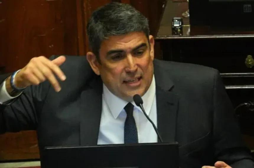 Bensusan pidió que la Justicia y el Congreso investiguen las denuncias en la ANDIS