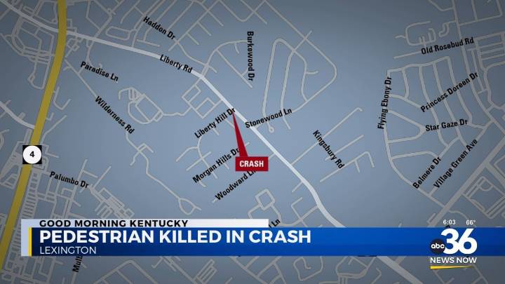 Pedestrian killed in late-night crash on Liberty Road in Lexington