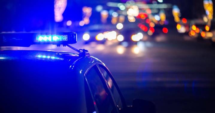 2 arrested for car theft in Colorado Springs, eluding police