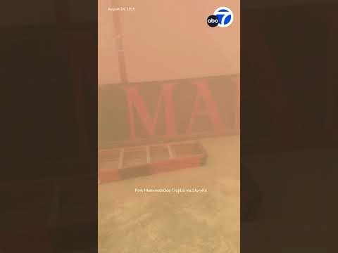 Powerful Dust Storm Sweeps Through Burning Man 2025