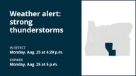 Brace for penny-sized hail with thunderstorms in Central and Eastern Lake County Monday – gusts may reach 40 mph