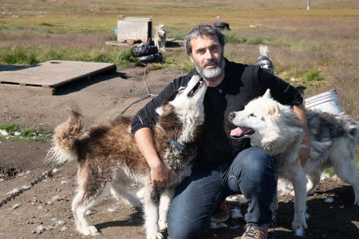 With no full-time vet, Iqaluit residents face steep bills for access to care