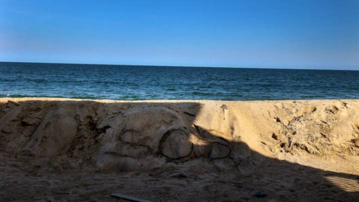 Search for missing boater suspended off coast of Salisbury