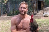 Calvin Harris Shares His Pet Rooster Was Killed by 'Grimey Dogs'