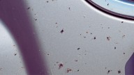 Adiós a gastar en el lavadero: el sencillo truco para limpiar los mosquitos de tu coche sin dejar marca