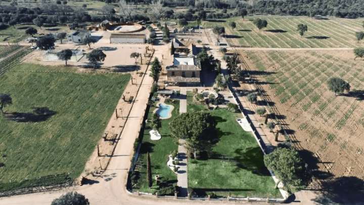 Una finca toledana se ofrece a acoger a los animales afectados por los incendios