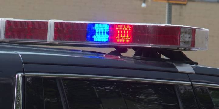 Investigators probe deaths of 21 dogs at Northern NY boarding facility