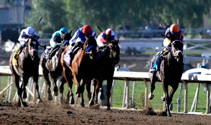 Pacific Classic draw set, with plenty of star power ready to run Saturday at Del Mar